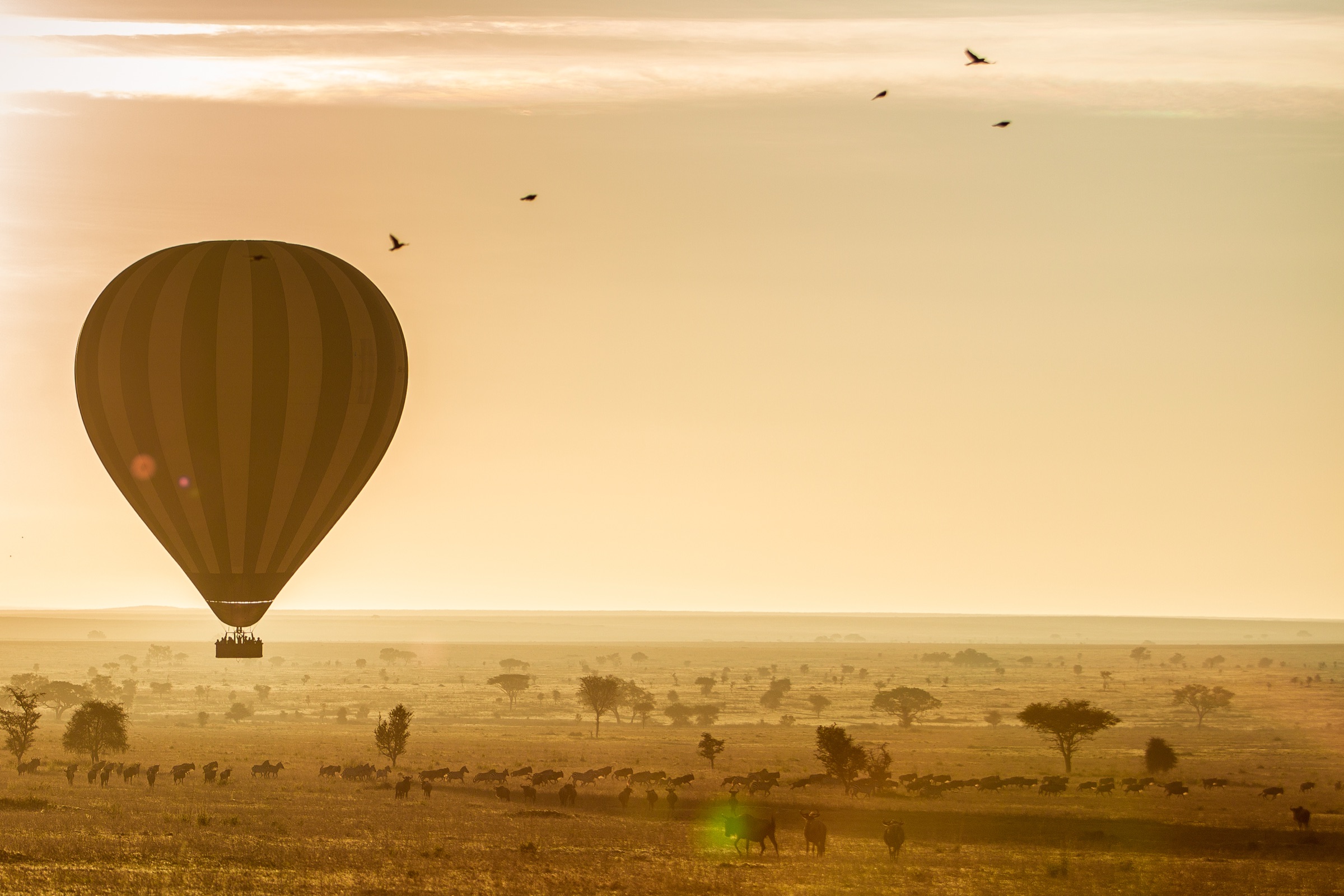 A hot-air balloon drifting over migrating herds on the Serengeti at sunrise