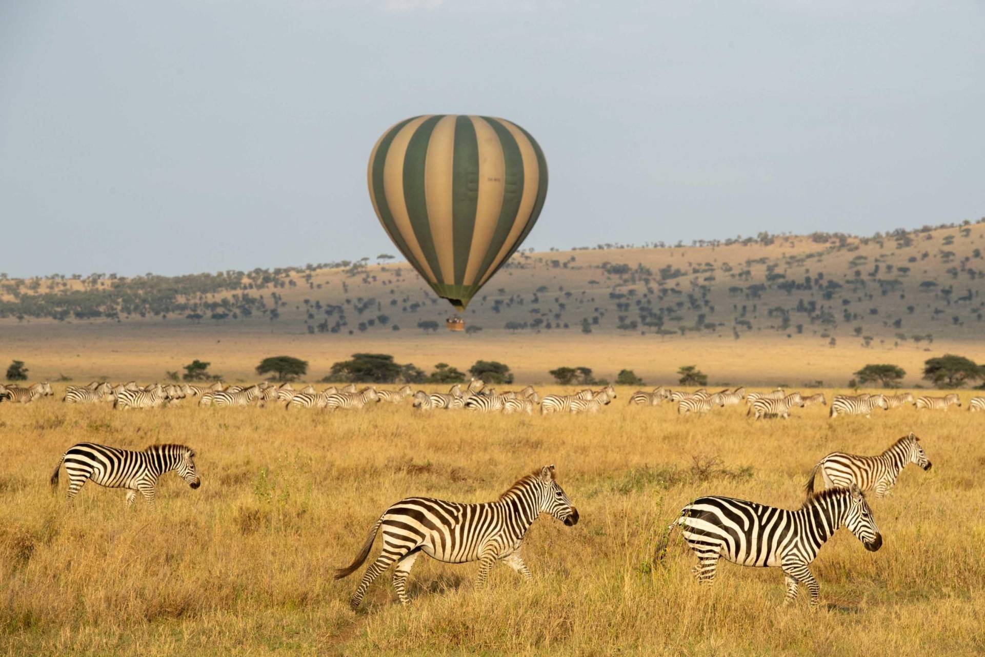 hot-air-balloon-safari